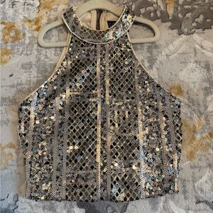 Windsor Glittering Sequin Crop Top - Silver